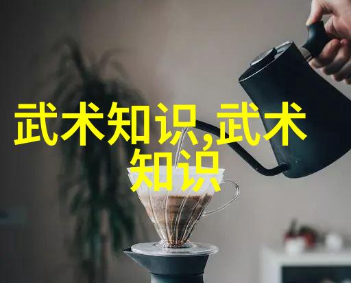 一魔二佛三道四侠五绝大名府内家拳犹如江湖中的五朵奇花绽放着各自独特的风采
