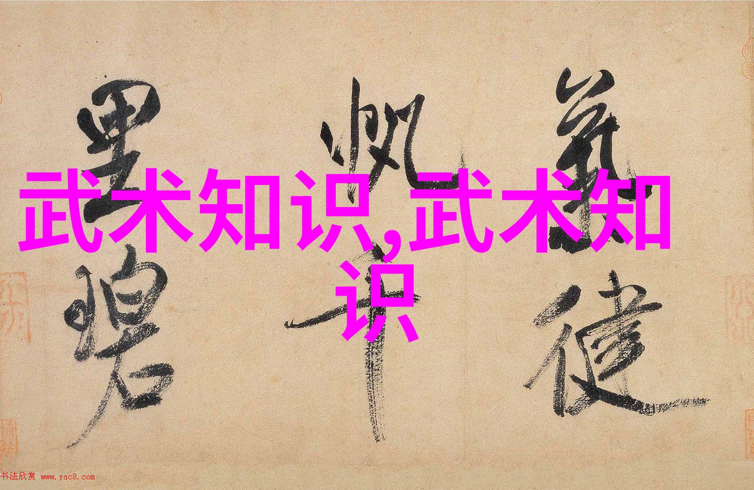 男人眼中的女人武功好探索太极拳中的柔韧与力量