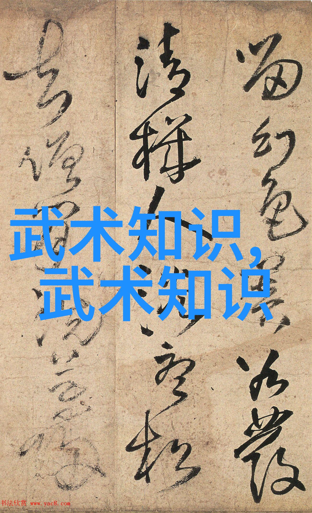 水面系拟饵路亚鲶鱼钓技与心得