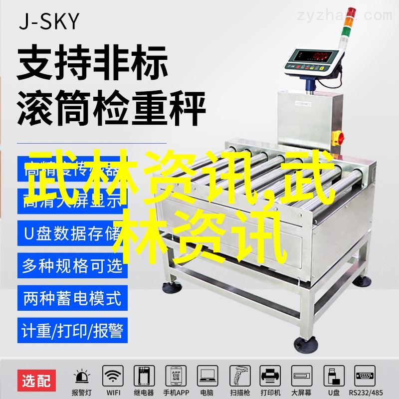 中国武术大系之巅天龙门派传承千年的中华武学精髓