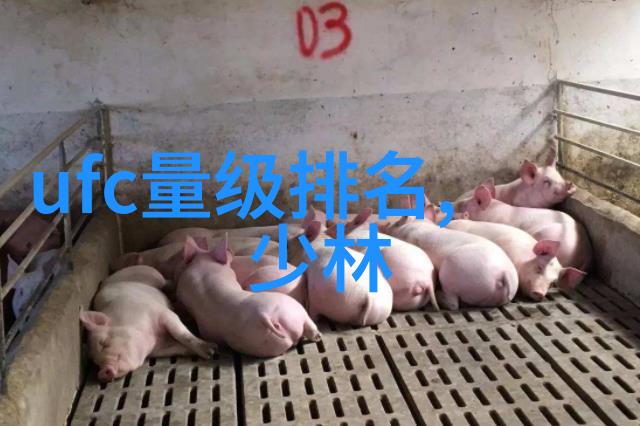 武林高手必备中国武术十大拳法排名解析