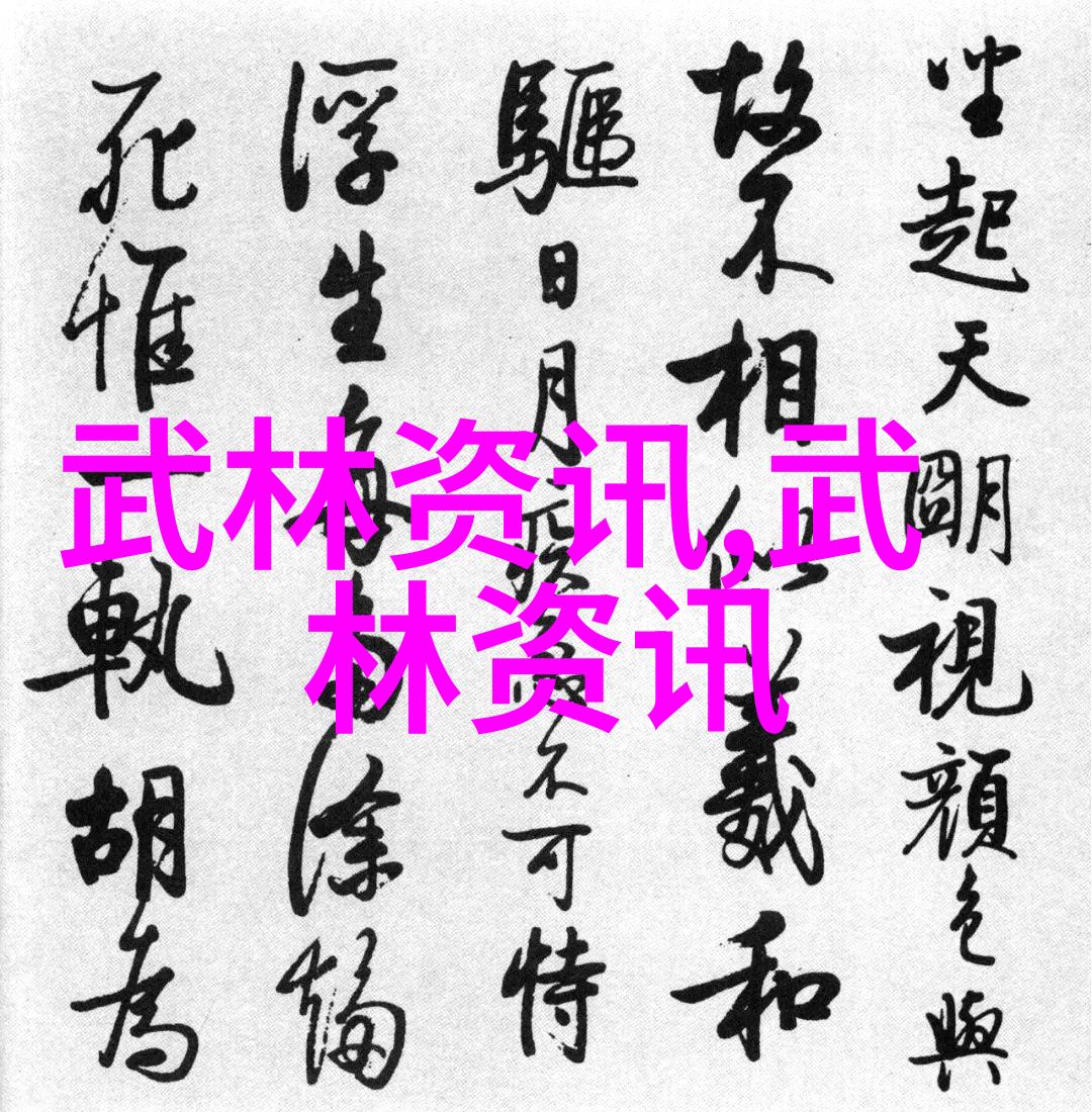 拳法的智慧探索中国传统武术的深度