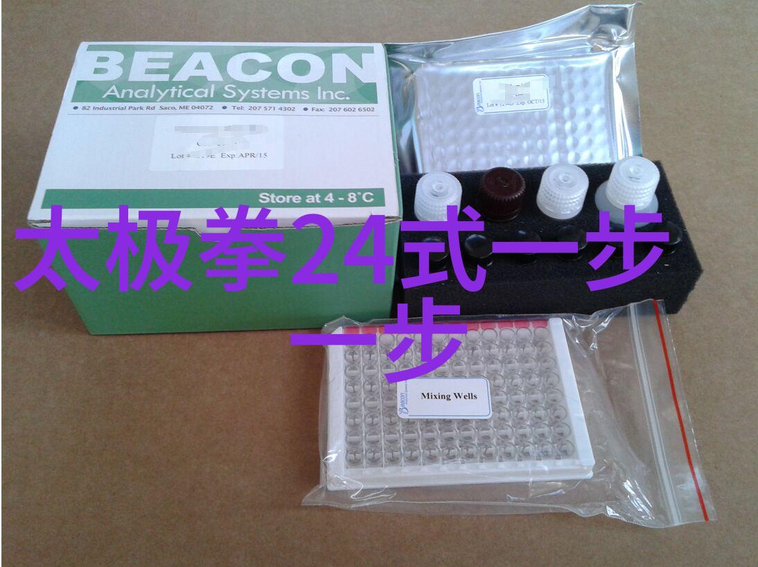 中国武林新风云揭秘当代最强大门派