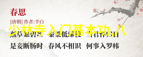 飞跃高手进阶技巧让你如鹰般翱翔