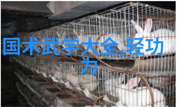 太极拳的教练方式分析-雷生霖