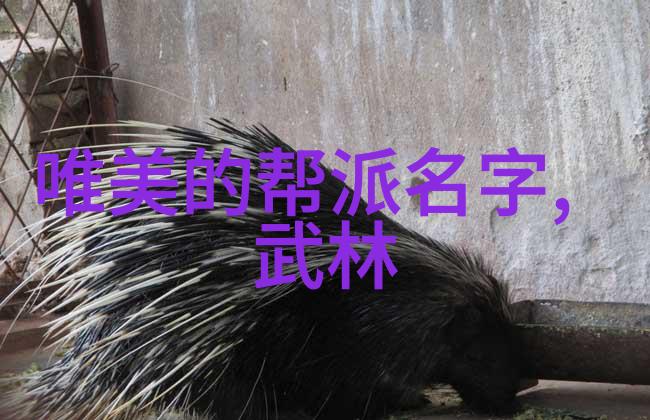 湖南武术门派龙虎英姿的传承