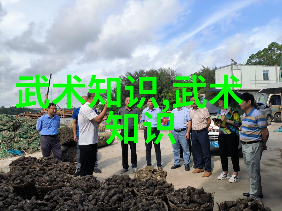 奥运会排球女排生死战郎平果断变阵如同一场激烈的火焰舞蹈无论胜负女排精神才是最璀璨夺目的宝石