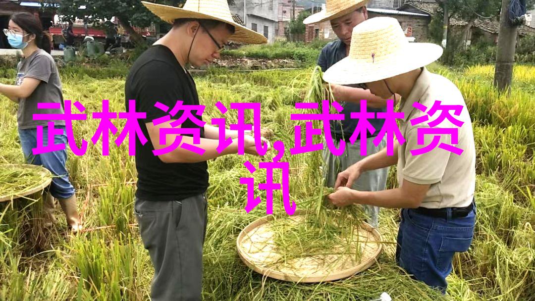 探秘合理饮食中的支链氨基酸宝库揭秘这些超级食物
