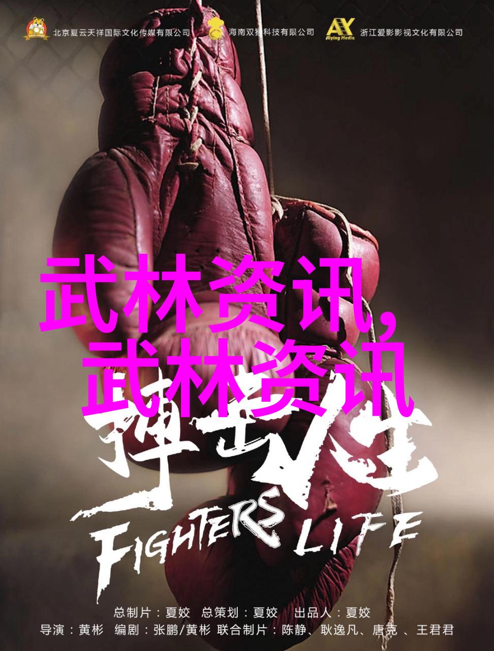 武林秘籍拳影中的杀机