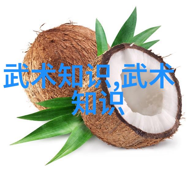 武术修炼境界划分大全探索内功外法的深邃之境
