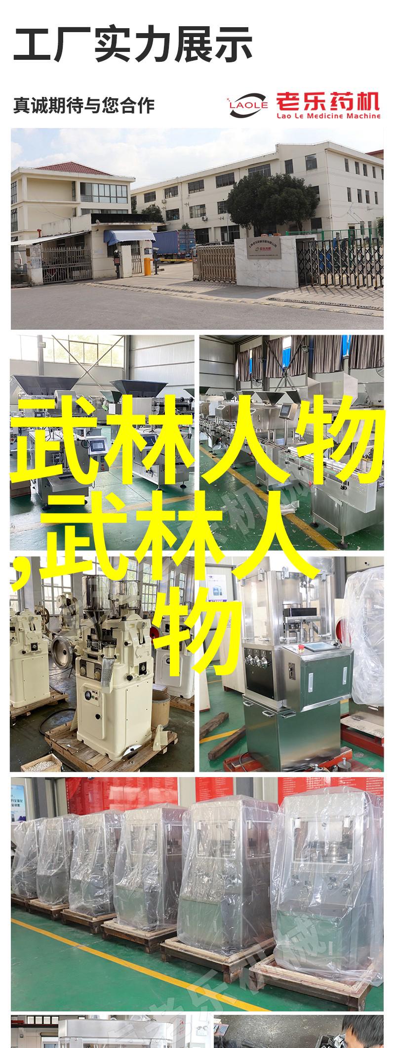 太极拳24式精髓解析揭秘每一式的深层意义与实践技巧