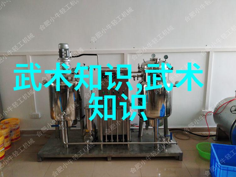 现代门派大师中国太极螳螂拳秘籍解密