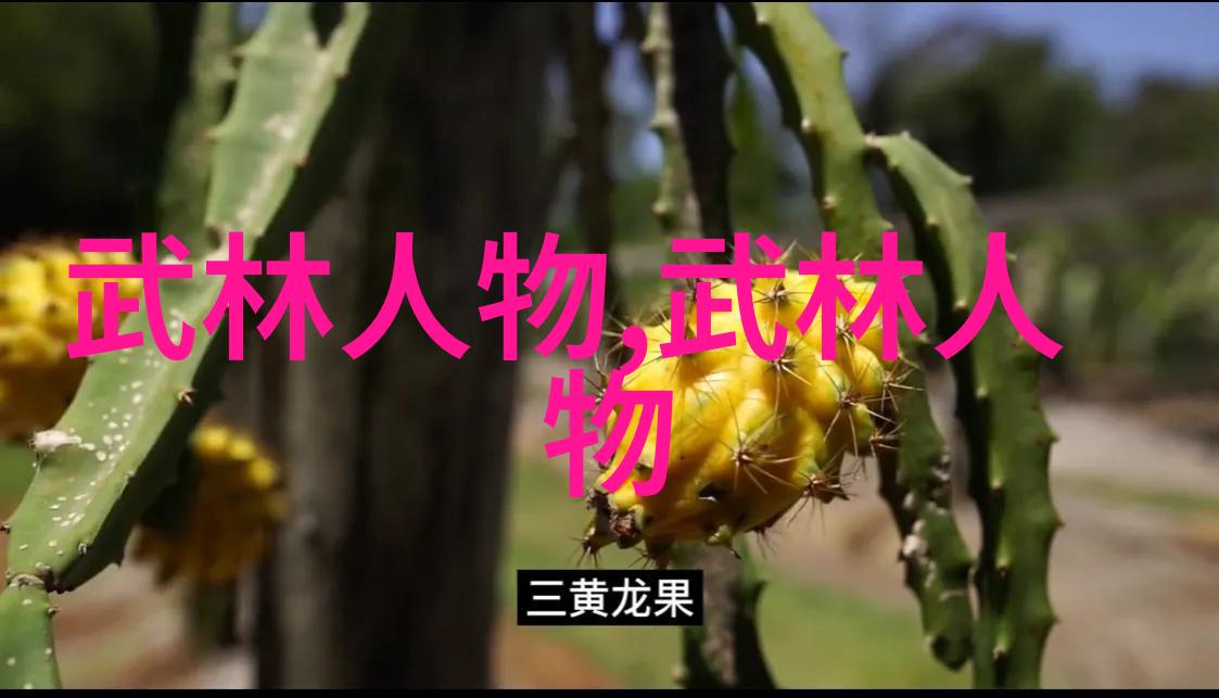 湖南武术门派何氏弹腿在自然之中绽放