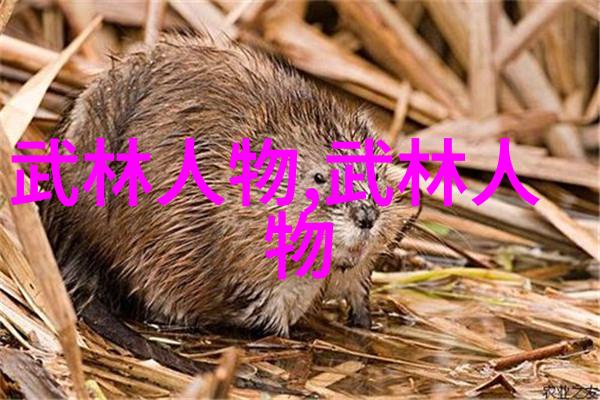太极拳24式精髓解析揭秘每一个分解动作的练习方法与技巧