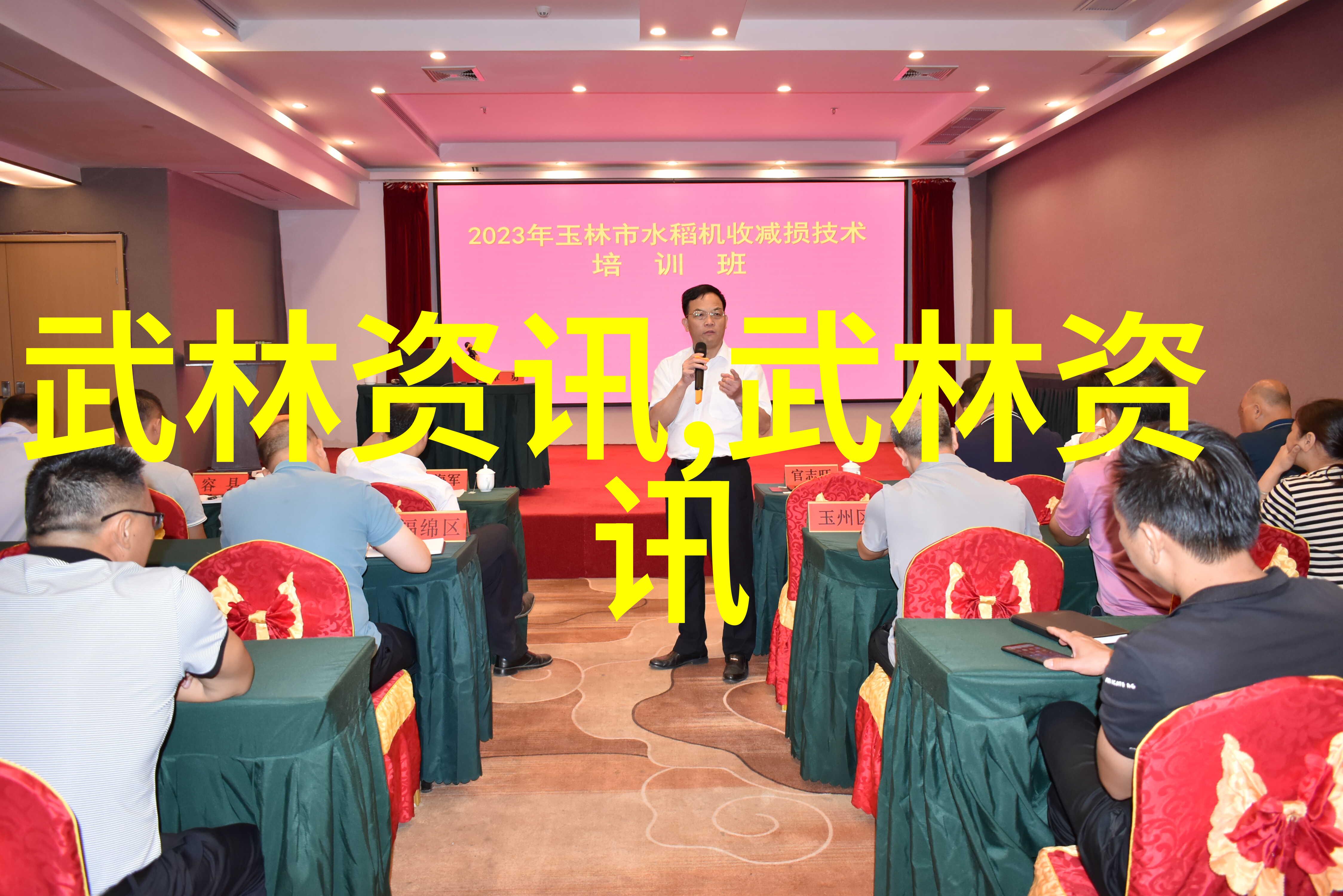 斐济如同雄鹰俯冲夺冠在2017年的比尼亚德尔马七人制橄榄球赛中展现出精彩的比赛视频