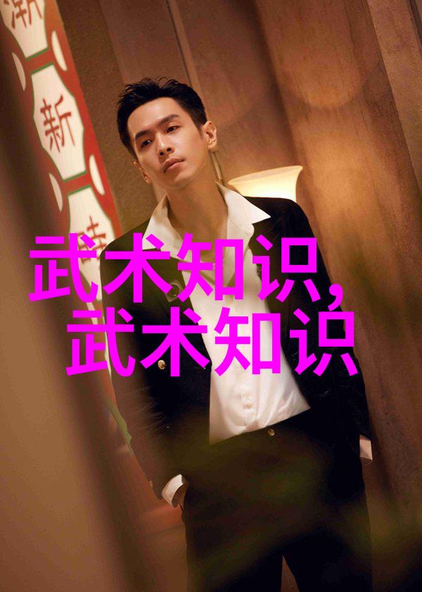 李小龙的功夫教学视频中华武术大师的内家外家秘笈