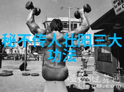 古籍武学探秘揭开古代武术书籍的神秘面纱