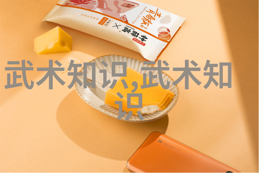 武林秘籍大全古代武术技巧集成