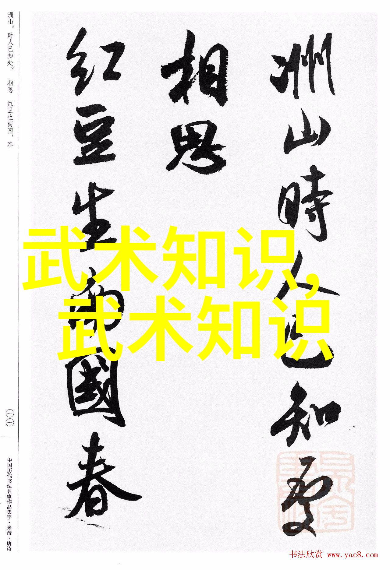 古今变迁下的江湖风云一场关于古代武林门派命名的大讨论