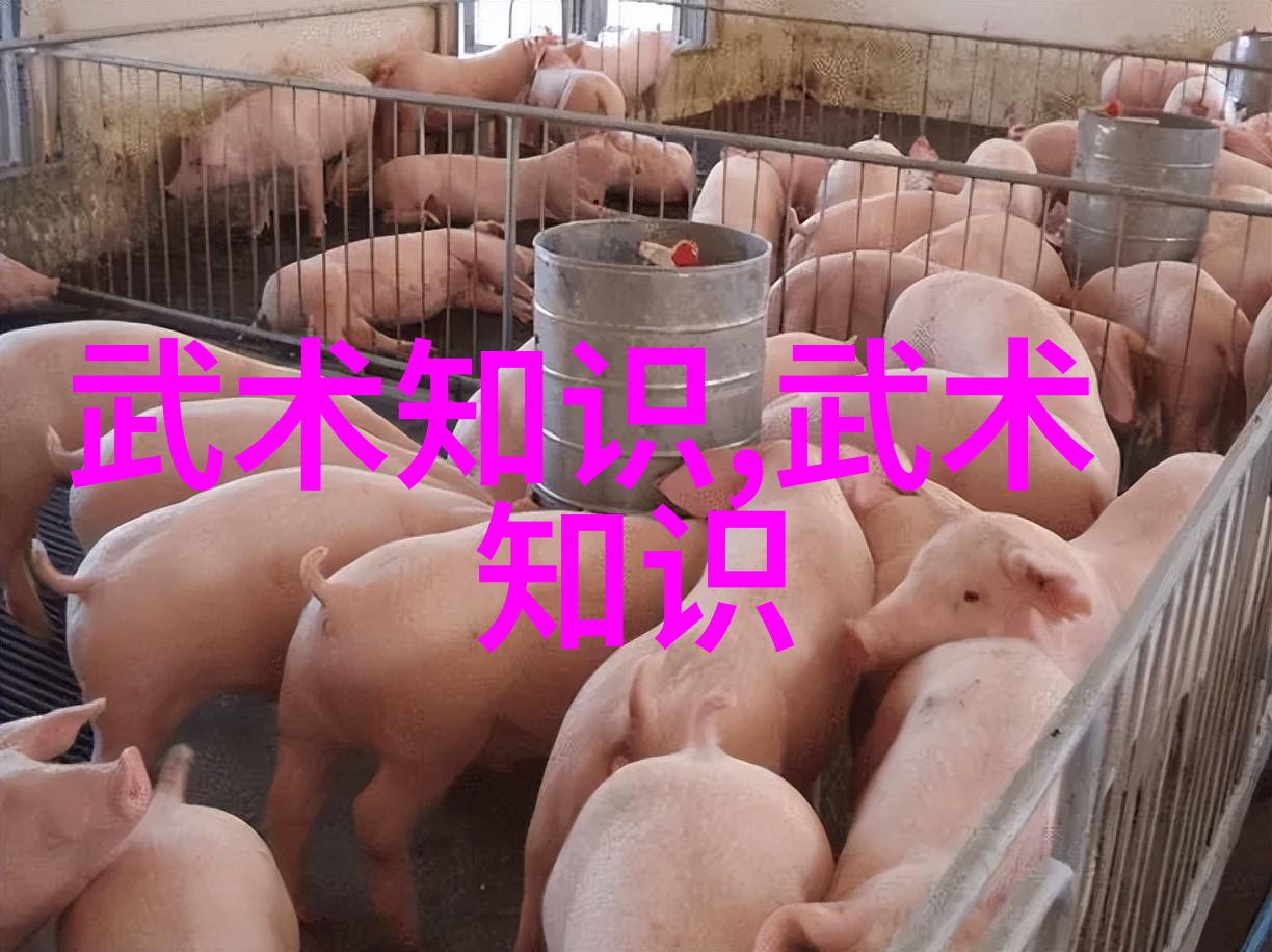 武林正宗江湖新篇章记忆和创新并存于剑锋之下