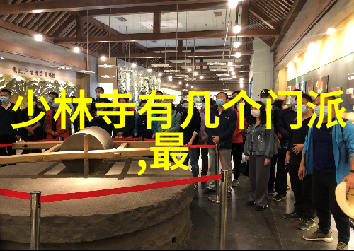 宗门之巅星辉洞冈的传说
