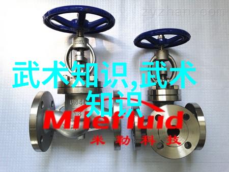 一招定胜负少林拳法之空手道