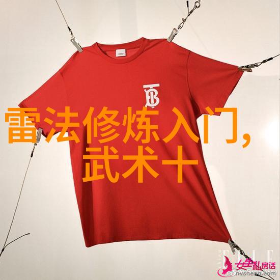 太极24式正面背面转腰胯的艺术秘诀