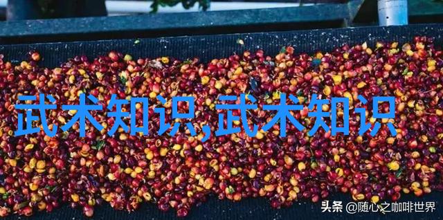 静动交融简易24式太极拳之抽象舞蹈