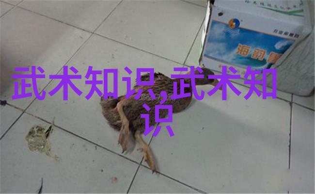 男人眼中的女人武功好穿越千年的赞歌与挑战