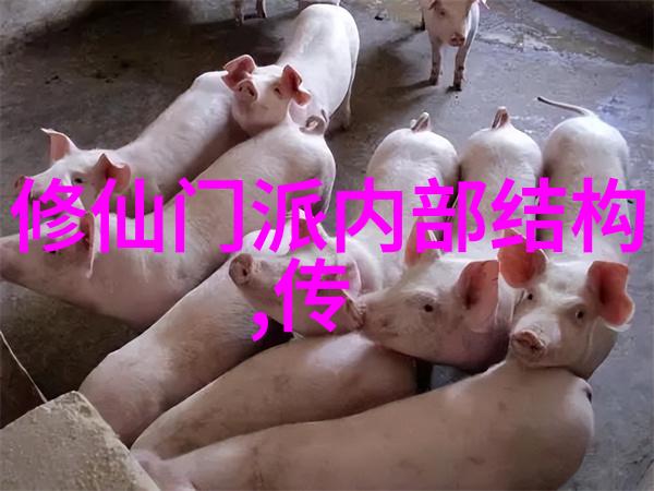 自由泳技术的灵巧使者10分钟让你成为游泳大侠