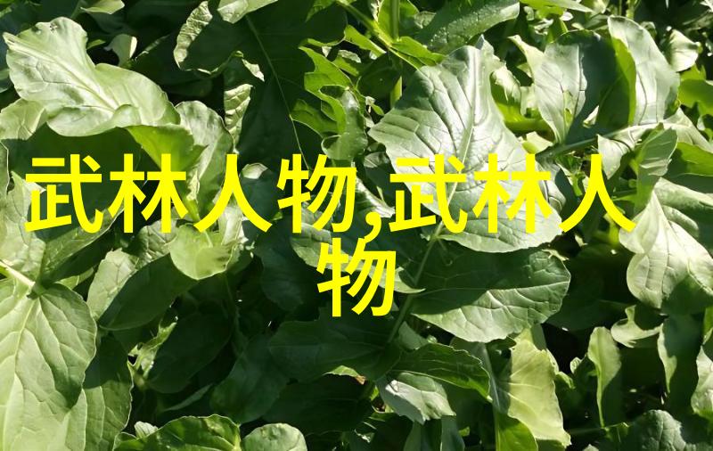 武林绝学有哪些门派拳种汇极拳