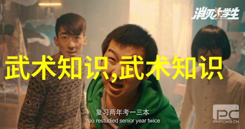 从道德到战斗力剖析古代武术书中的人生智慧