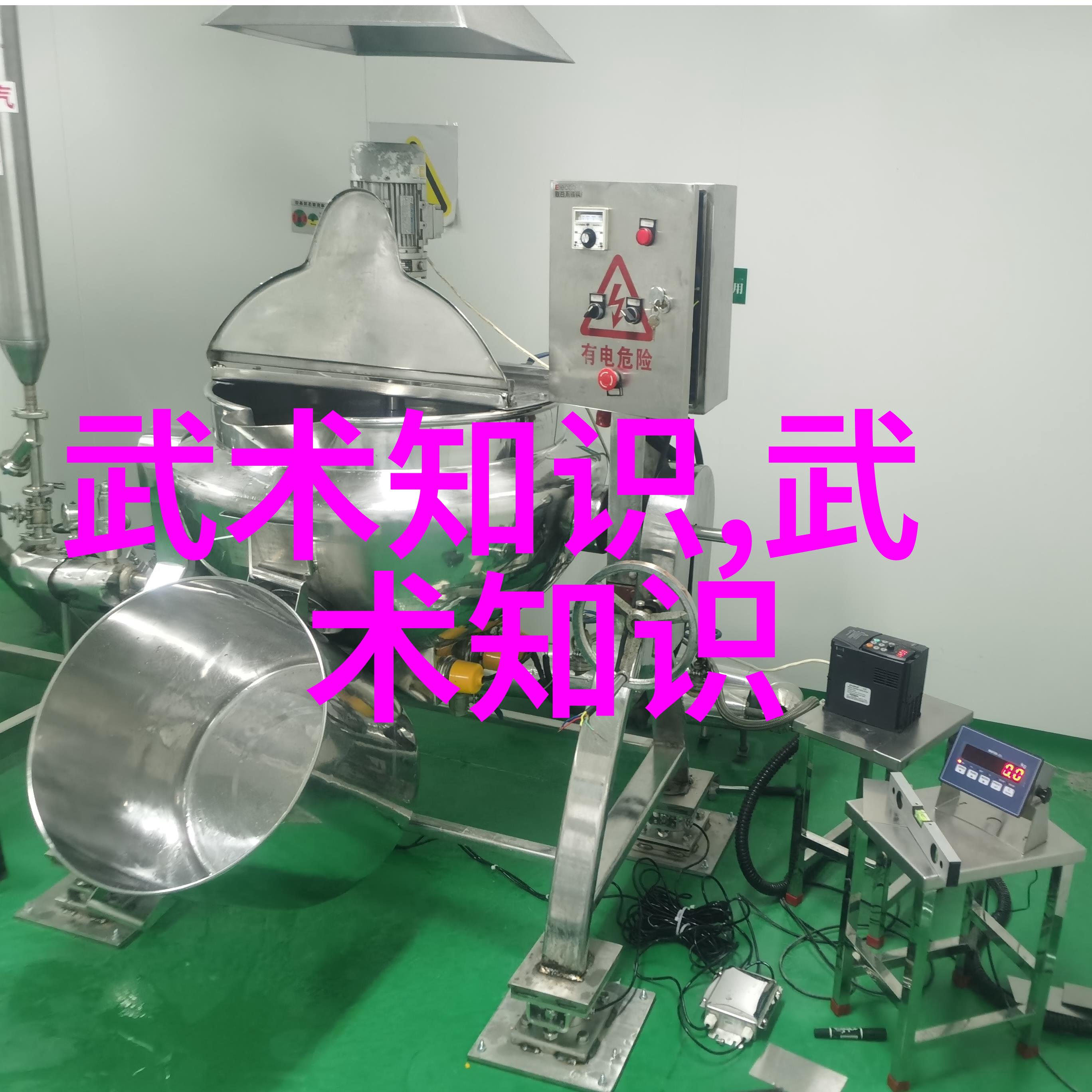 绝世剑法武林中最强之秘