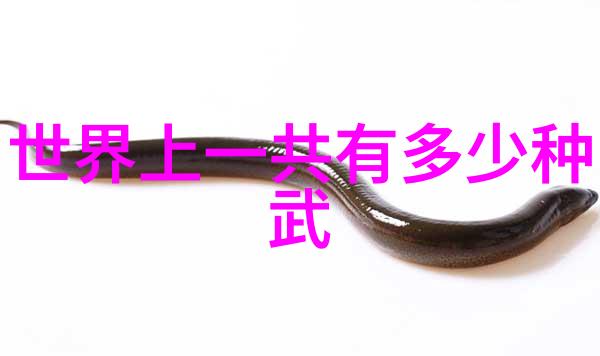 霸道武林自然陆合拳震撼武林帮派名单