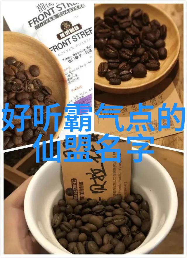 编织时光追寻好听帮会名字的儒雅篇章