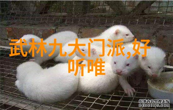 在这个充满武术文化的时代一个名为禁用武术的网站悄然诞生它声称要改变我们对武艺的看法但它背后隐藏着什么