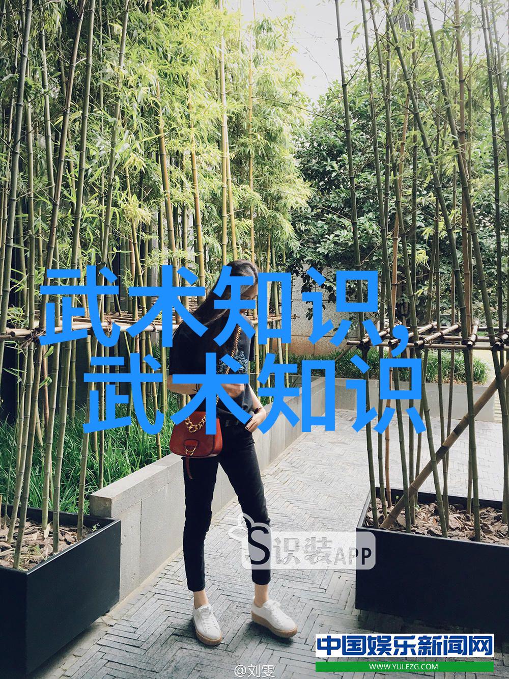 女排在生死战场上如同郎平指挥的排球队果断变阵无论胜负女排精神是最亮丽的冠军
