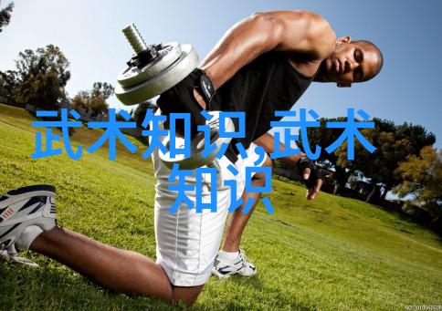 悟道奇书武学秘籍解密