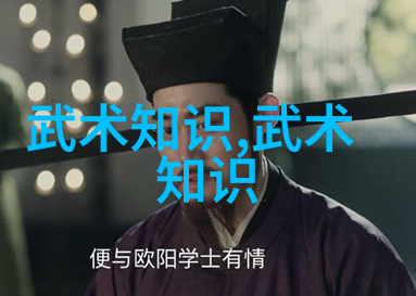 拳影沉浮老武术书籍的文化回响