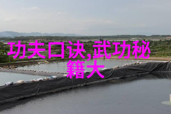中国功夫秘籍大全-揭秘中华武术从阴阳易经到太极拳谱的智慧传承