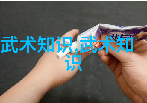 中国古代武术之精华拳法的传承与魅力