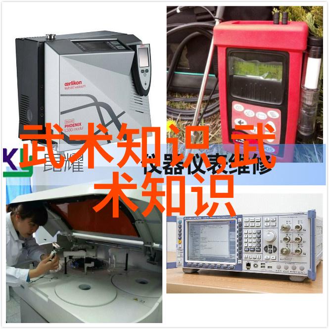 古代武林门派秘籍解析探秘各路高手的修炼之道