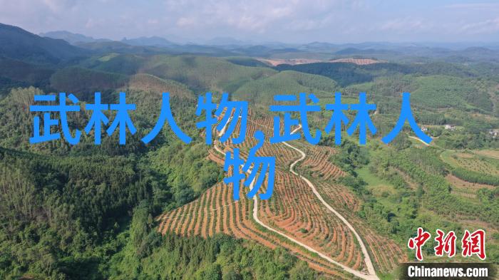 揭开身法秘籍面纱剖析其在武林中的地位