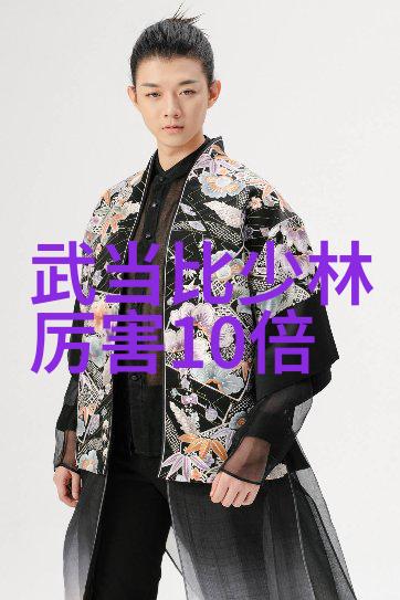 武术基础动作研究探究十二种核心技术的应用与演进