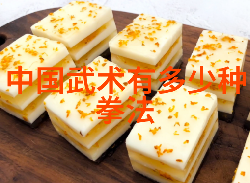 武术基础-初学者必备掌握套路拳法的艺术与技巧