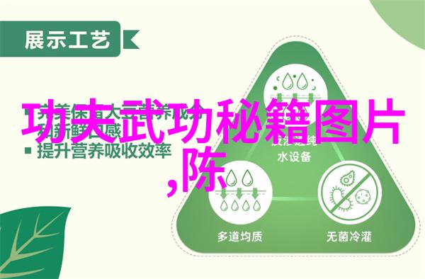 中国古代剑法之巅峰十大剑法秘籍中国武侠世界中的剑术精髓