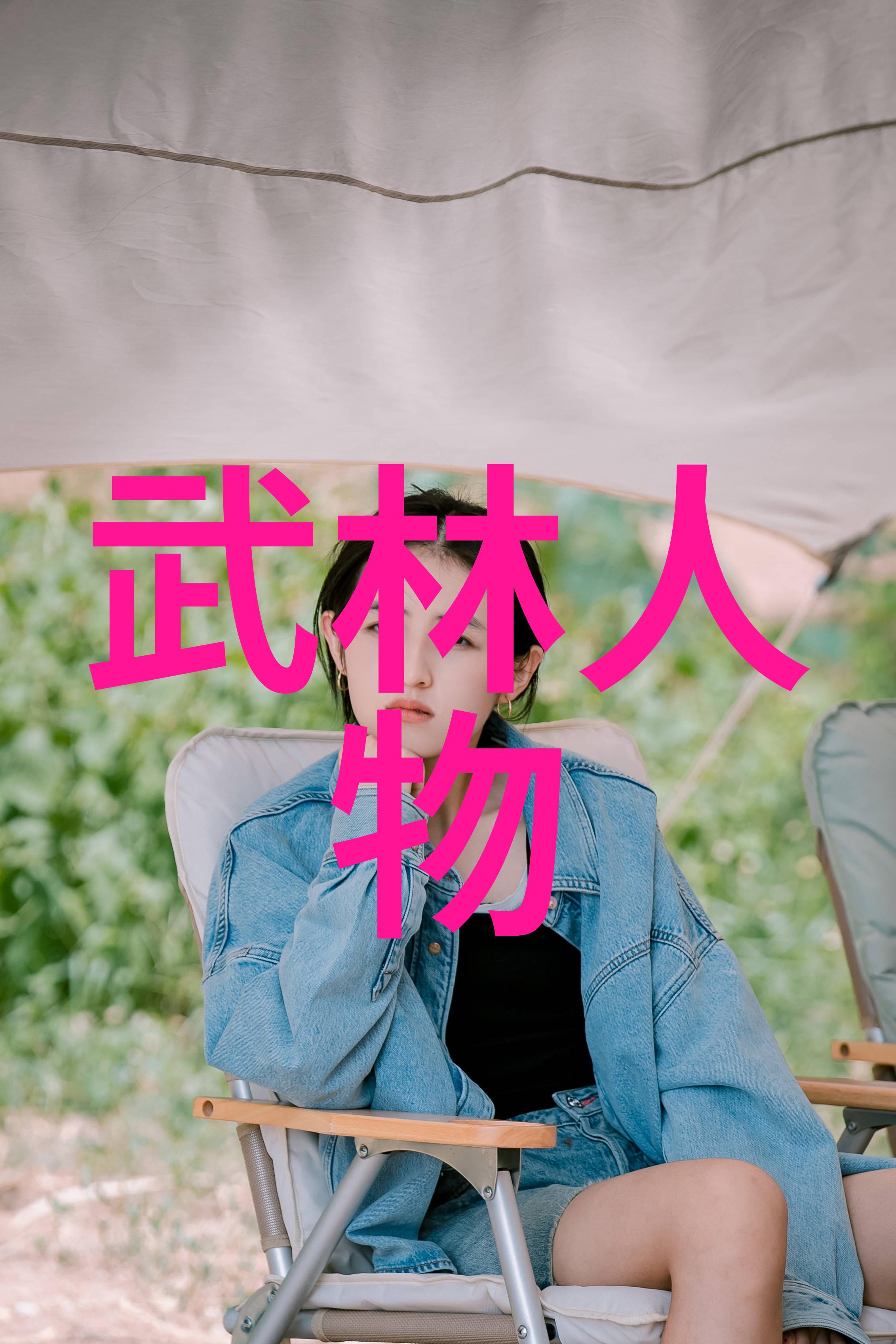 中国武术门派前20名传统与卓越的对话