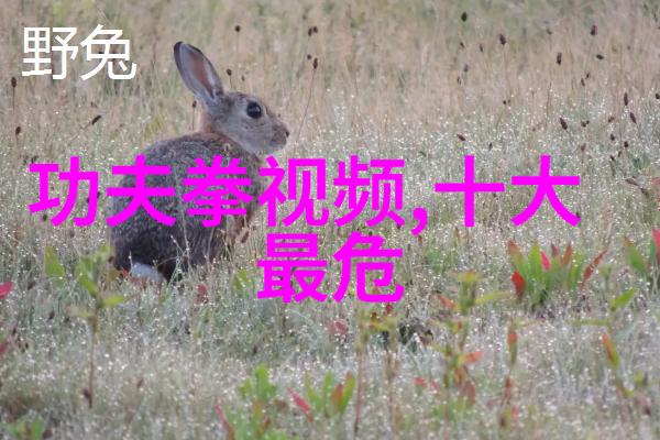 面对身体受伤我该如何安全而又有效地恢复体能并继续训练