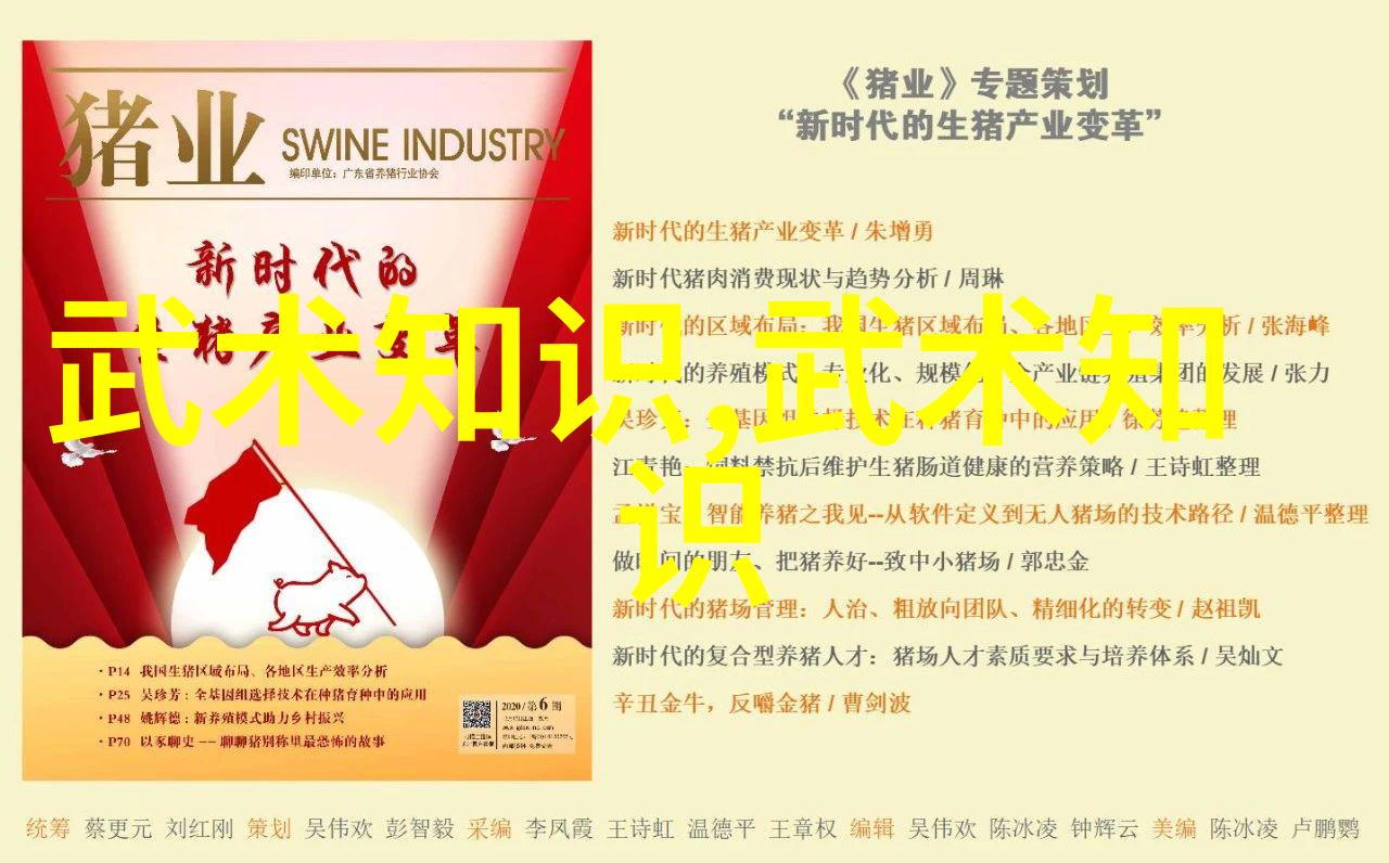 少林秘籍探秘武林最强拳法之极致