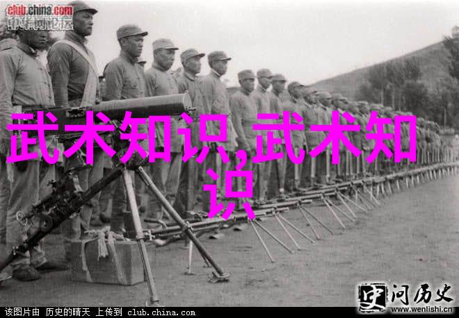 武林帮派谱系录揭秘参与中华真功夫大作战的神秘门派名单